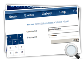 Access Control Login Mini