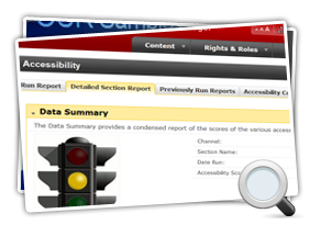Accessibility Report Screenshot Mini