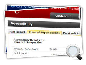 Accessibility Report Detailed Screenshot Mini