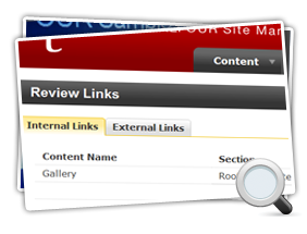 Broken Links Mini Screenshot