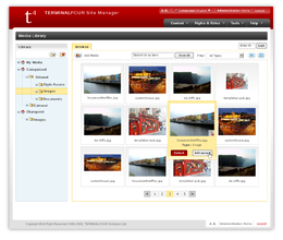 Media Library Screen Shot
