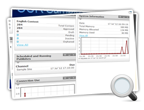 Reporting Dashboard Mini Screenshot