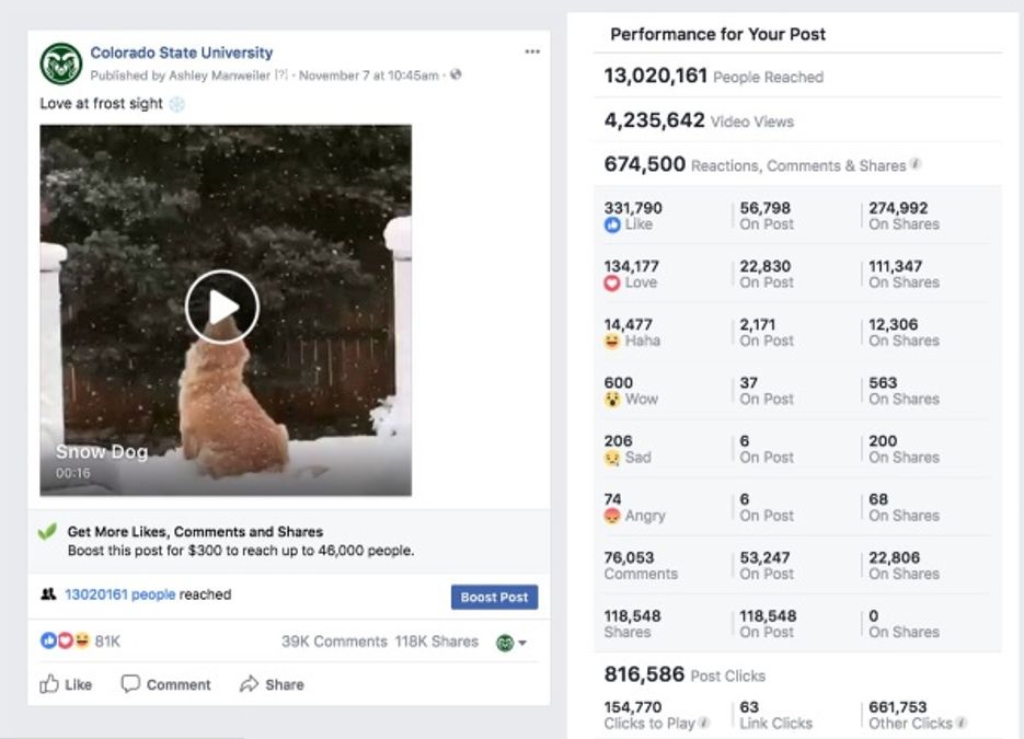 Why do videos go viral? Check out our latest blog to see how one university has a Facebook video hit on their hands. 