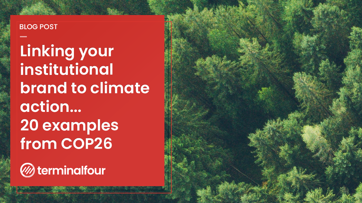 Blog - 20 great examples of institutions who shone a spotlight on ...