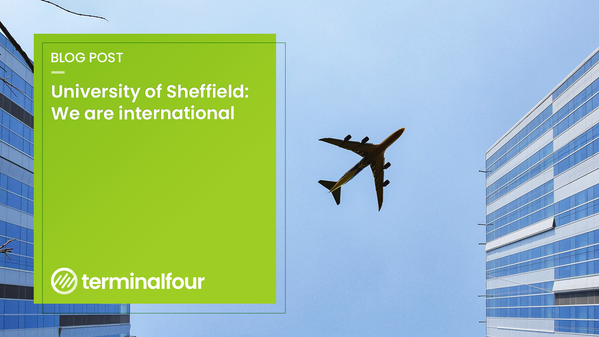 What is your institution doing to attract international students? 
