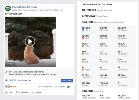 Why do videos go viral? Check out our latest blog to see how one university has a Facebook video hit on their hands. 