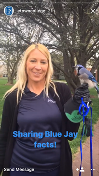 Image of a blonde haired woman holing a bird in her hand 