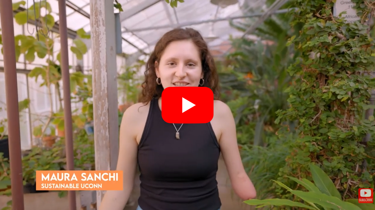 Marketing sustainability positive wins