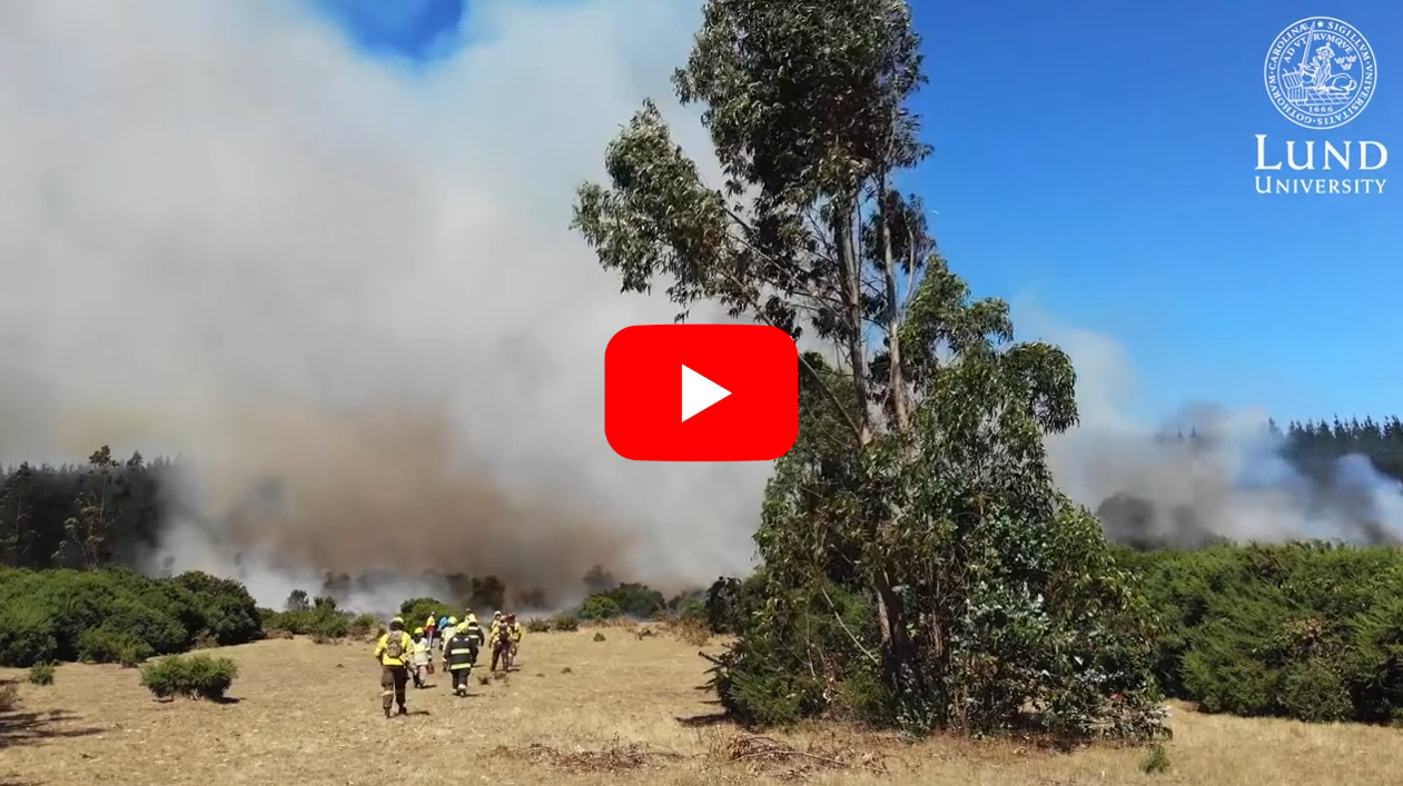 Marketing sustainability positive wins