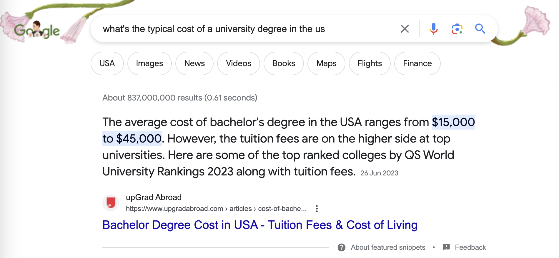 Standard Google snippet for higher education