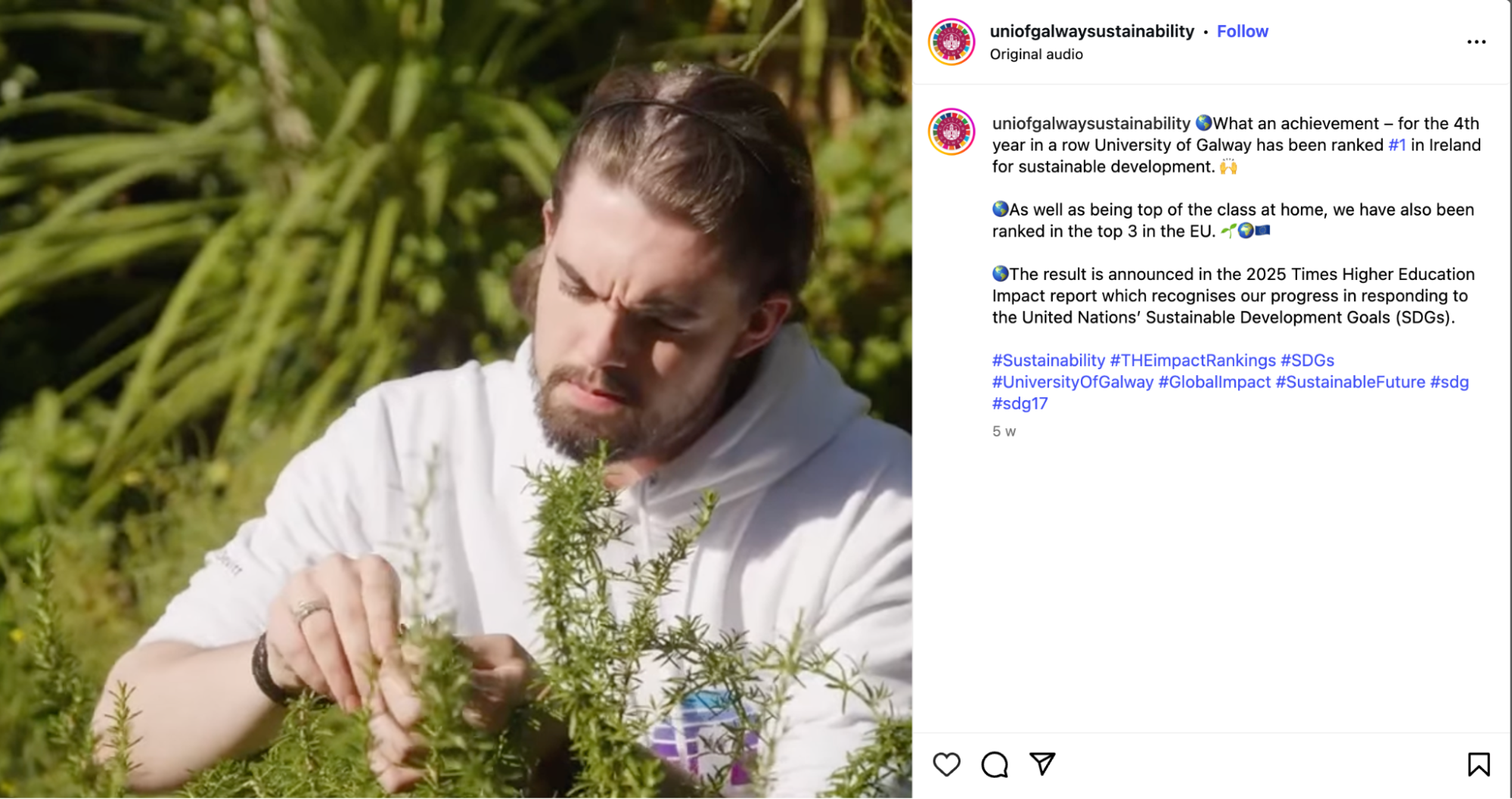Social media inspiration for higher education