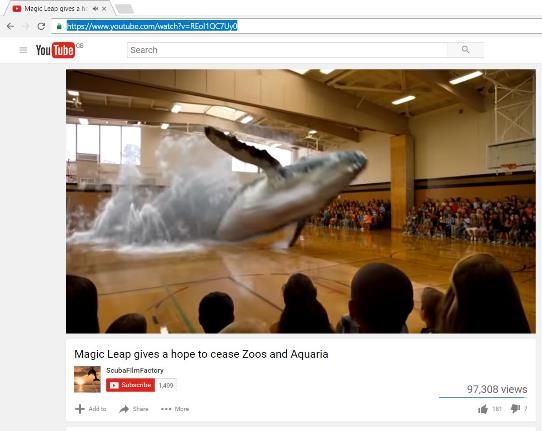 Image of a whale in school gym hall