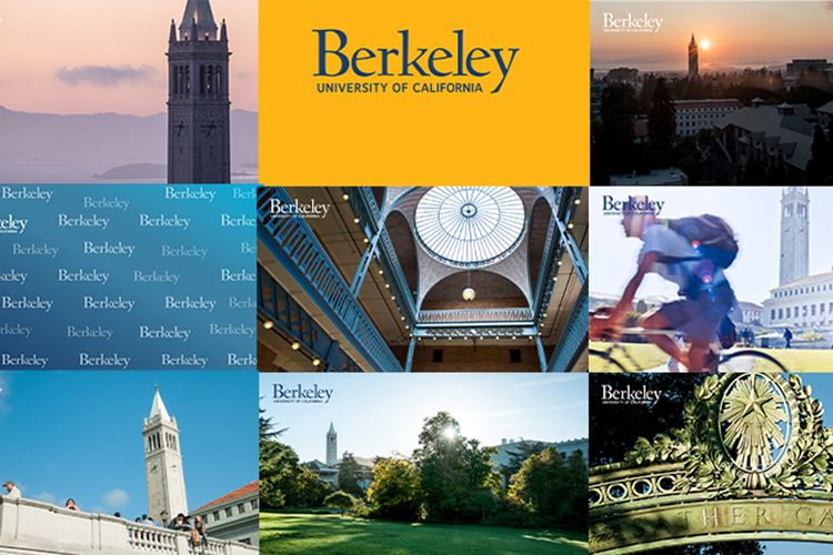 Berkeley Zoom Background