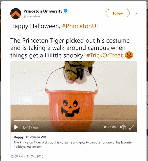 Halloween Princeton