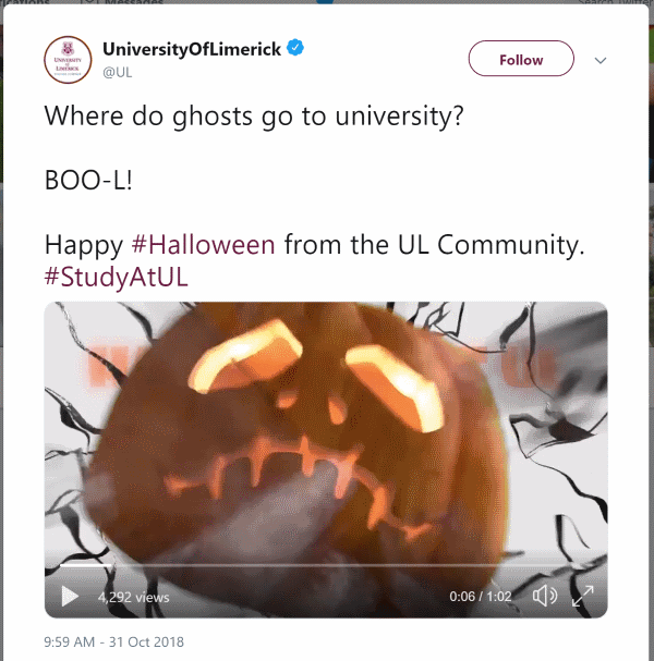 Halloween University of Limerick