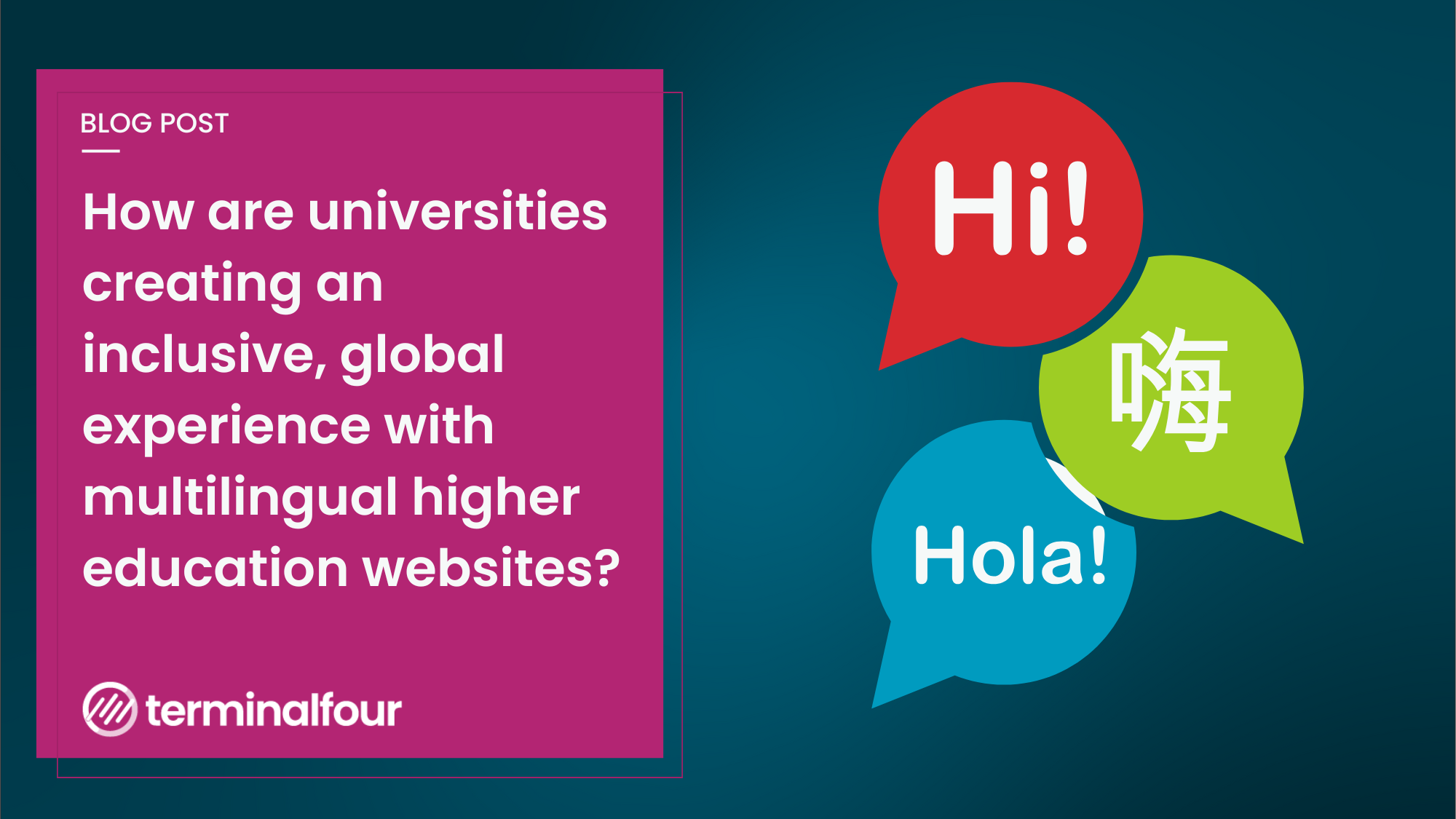 multilingual sites in higher education
