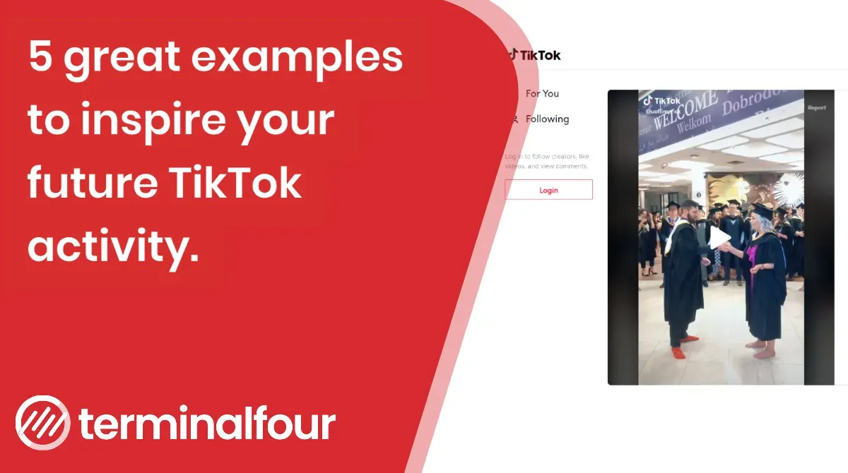 5 Great examples to inspire your future tiktok activity