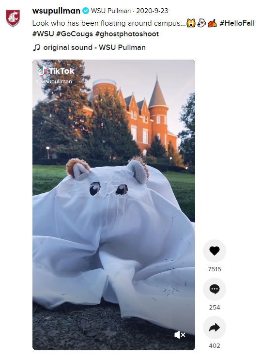 WSU Pullman Tiktok Example